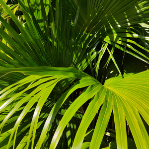 小13萝裸体自慰到高C中国人
